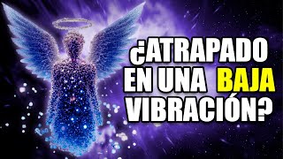 ⚠️ Probablemente No sabías Estas 5 Señales De ALERTA Del Universo