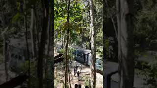 Train Passing Through The Forest || বনের ভিতর দিয়ে ট্রেন যাওয়ার দৃ্শ্য || Md Golam Bari