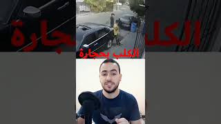 لحظات ناس حصلو على الي يستحقونه #shortsvideo #youtubeshorts #youtube