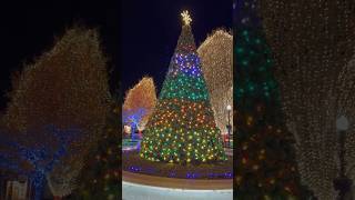 #bentonville Christmas lights!