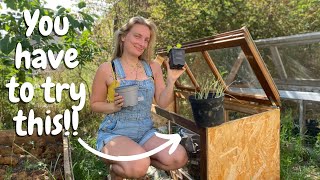 The BEST THING For Your Seedlings! | Mini Greenhouse | Flower Planting