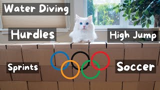 The Cat Olympics | The Cat Butler