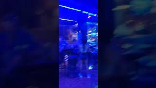 Thailand Songkran Nightlife