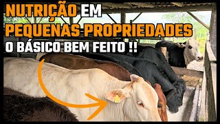 NUTRIÇÃO EM PEQUENAS PROPRIEDADES  /  O BÁSICO BEM FEITO !!