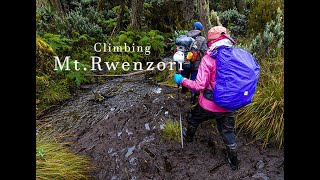 Mountain Rwenzori climbing | 03 (Guide to Rwenzori mountains) Amazing places in the world.#ads