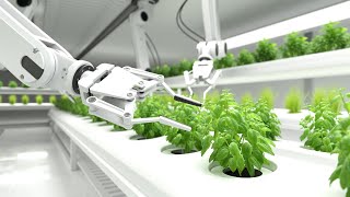 Robotics and sustainability in agriculture