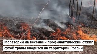 Мораторий на весенний профилактический отжиг сухой травы вводится на территории России.