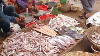 People buy and sell many fish at the market, Life at the market, busy market activity