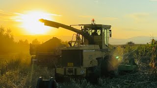 Silózás/ Corn silage 2024 |New Holland 1905 & CLAAS RU 450| Deutz-Fahr, Fendt, UTB, Case, Fiat