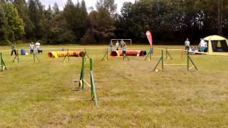 Agility hrátky BB, 24 8 2014, Zdenka Vavrová a Calla