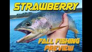 Strawberry Fall Fishing (Preview)