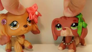 LPS: Types of Friends