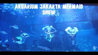 Ada Mermaid Show di Akuarium Jakarta