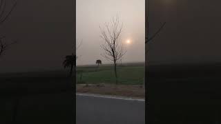 Evening View of my village #trending #shorts #reels #vlog #youtubeshorts #viral