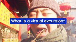 What is a Virtual Excursion?