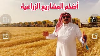 احدث الحصادات من شركة العربية للزراعة في السعودية لصاحبها مزيد صطوف الرمضان في حائل