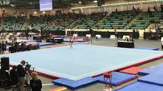 🇨🇦2018 Canadian Championships Day 1 Floor - Novice HP (choreography by Dominic Zito 🇺🇸)