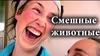 Смешные животные  Приколы с животными 2016