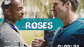 Sam & Bucky || Roses - Imanbek Remix [+1x05]