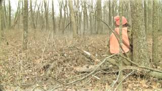 Traditional Black Powder Hunt