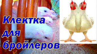 Клетка для бройлеров