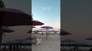 Relaxing evening at Sugar beach #music #chill #beach #trending #shortvideos #viral #video #youtube