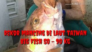 Pecah Rekor mancing di Laut Taiwan big fish 50 - 90 kg