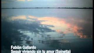 Fabian Gallardo - Seguir viviendo sin tu amor (Spinetta)