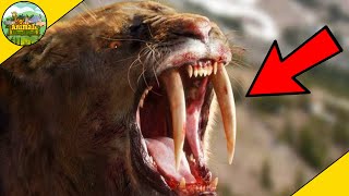 Top 10 Extinct Animals | Part 2