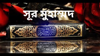 সূরা মুহাম্মদ তেলাওয়াত ও বাংলা  অনুবাদ !! Surah Muhammad tilawat with bangla translation