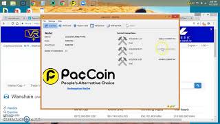 PAC Staking Bonus - Did You Also Get Extra Coins This Month?