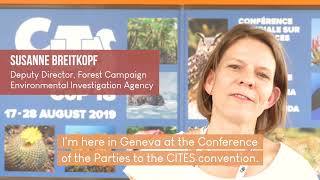 EIA Forest Team Update Day 1 at CITES CoP18