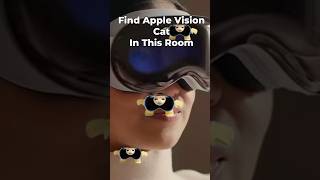 Apple Vision Cat Finding Challenge