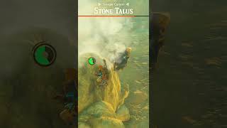 Zelda Tears of the Kingdom Stone Taluses are OP