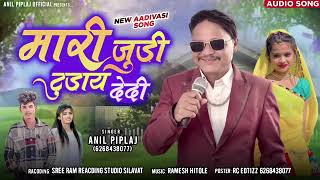 मार जुड़ी तुड़ाय देदी  |। anil piplaj New aadiwasi song 2023