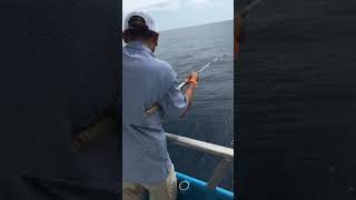 Red Snapper Fishing