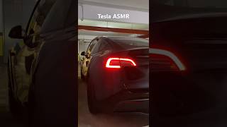 #asmr #tesla #teslamalaysia #teslamodely