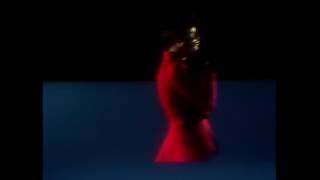 Beach House - The Traveller