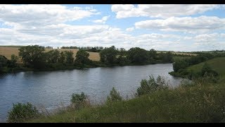 4  . 07  .  2019г.   Воронеж   -  пруд в Перлевке .