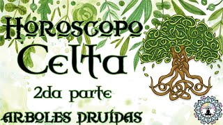 Horóscopo celta, druidas y los árboles celtas. 🌳Conoce que árbol celta es tu guía y guardián PARTE 2