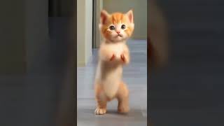 Cute Cat Dancing💞 #dance #danceclips #love