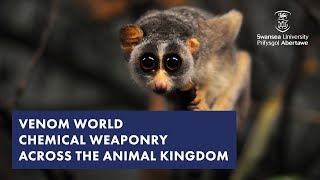 Venom World - Chemical Weaponry Across the Animal Kingdom (Biosciences)