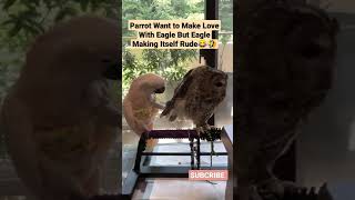 Parrot Want to Make Love With Eagle But Eagle Making Itself Rude 🤣😂