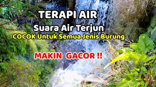 Terapi Air - Suara Air Terjun, Suara Air Terapi Burung