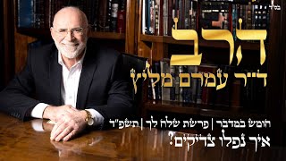 פרשת שלח לך - תשפ"ד |  איך נפלו צדיקים? | הרב ד"ר עמרם מליץ  שליט"א