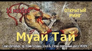 Турнир Муай Тай 12.11.2023 Санкт-Петербург в ДСРК ИСКРА