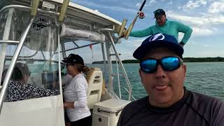 Sandbar. elliott key. pesca de barracuda.