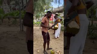 COCONUT IN TOFO MOZAMBIQUE