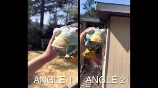 Perry the platypus funny cute video angle comparison