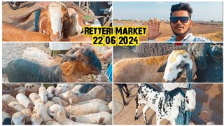 Retteri Goat Market 2024| Chennai | Detail Santhai-22.06.24| Saturday | #goat #sheep #chennai #india